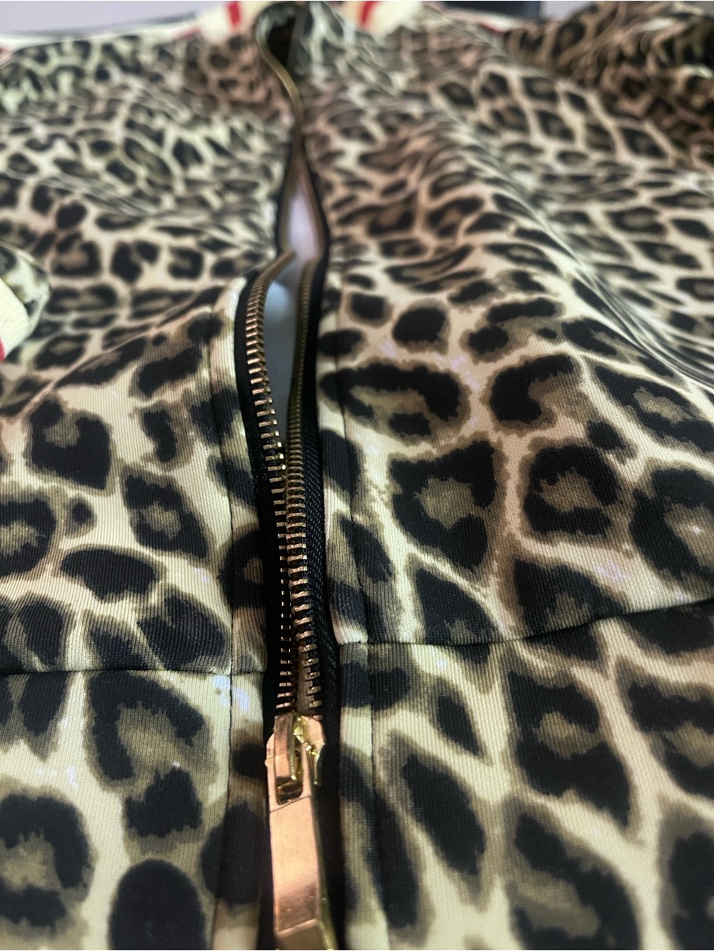 Leopard-Print Bomber Jacket with Red-Trimmed Ribbing - Picture 4 of 4